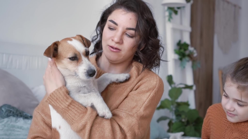 Young mother daughter in sweaters sit on bed in cozy room with European interior with dog jack russell communicate cutely play against background of blue pillows, home pastime. Pet love concept | Shutterstock HD Video #1091668215