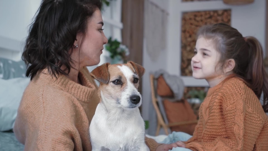 Young mother daughter in knitted sweaters are sitting on a bed in a cozy bedroom with their small dog jack russell and having a cute time with him playing with a dog. Animal love concept  | Shutterstock HD Video #1091668237