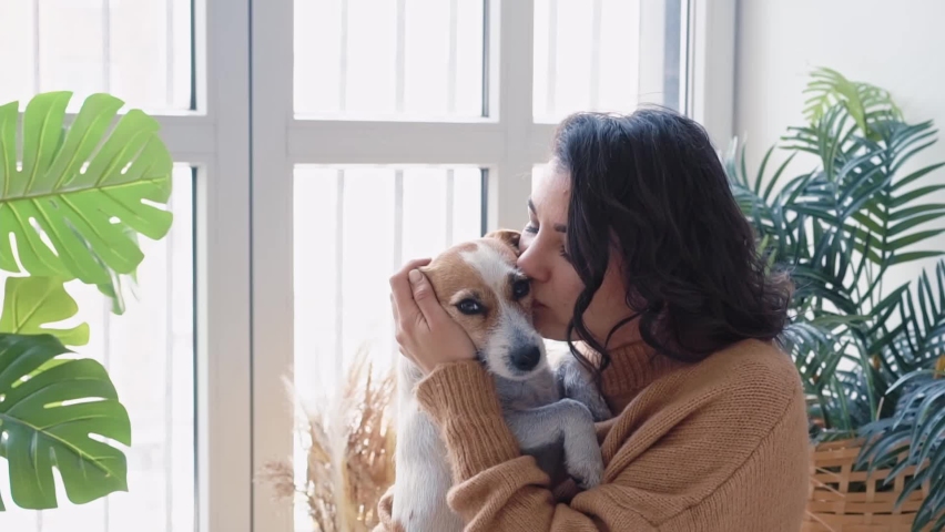 Young beautiful woman casual clothes hugs kisses her beloved little white jack russell dog, sitting on floor near the window in the living room her cozy country house. Animal communication concept | Shutterstock HD Video #1091668239