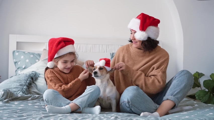 Happy woman in santa hat with girl daughter and smiling jack russell terrier dog sit on beautiful bed covered with plaid in sweaters in beautiful interior in red santa claus hats. Slow motion | Shutterstock HD Video #1091668243