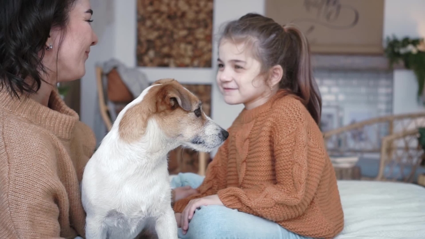 Young mother daughter in knitted sweaters are sitting on a bed in a cozy bedroom with their small dog jack russell and having a cute time with him playing with a dog. Animal love concept | Shutterstock HD Video #1091668245