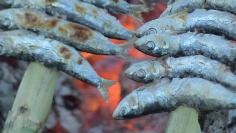 Sardine skewers on the fire