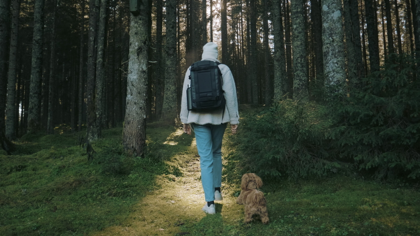 Camera is following young woman walking through misty forest in late autumn. She is wearing a blank backpack and exploring beautiful nature. Having adventure trip with her small dog.