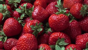 Fresh red Strawberries rotate, closeup 4K video. Many juicy ripe berries strawberries