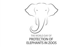 World Day for the Protection of Elephants in Zoos, art video illustration.