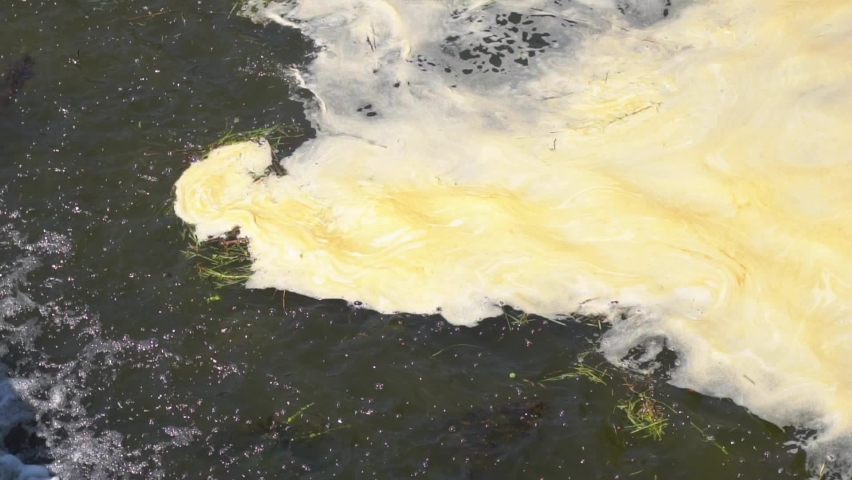 Dirty water flows into the river. Pollution of the environment and water bodies. Ecological catastrophy. Sewerage, treatment facilities. Close up bubble of wast water in water treatment tank. FullHD | Shutterstock HD Video #1091700625