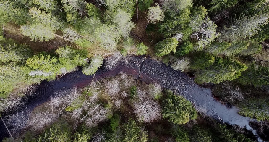 Going up with the camera, overlooking flowy river in the spring forest. Beautifu