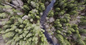 Drone spinning and flying over flowy river. Beautiful greenery landscape.