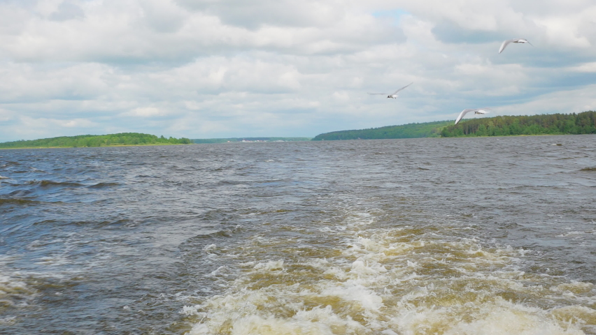Ecological supervision. The motorboat floats, the seagulls follow. Clean calm scenery. Water is foaming from the propellers of the motor