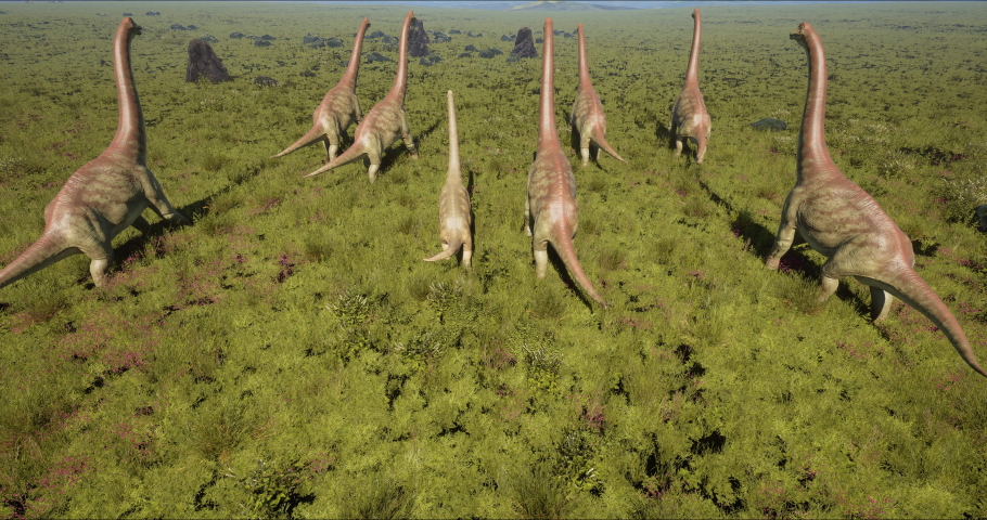 Brachiosaurus herd, sauropod walking in search of food. Mesozoic era. 3D rendering. High quality 4k footage Royalty-Free Stock Footage #1091715433