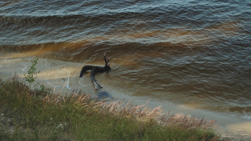 The shore of a large river, slow motion shot. Close - up waves wash the sandy shore. Nature of Ukraine