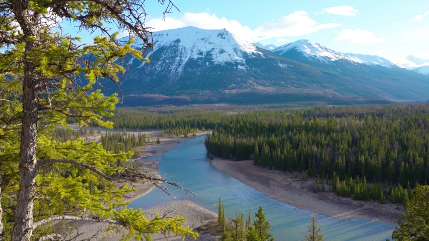 Canadian Rockies Jasper National Park landscape background. Athabasca River, Whistlers Peak nature scenery in late spring to summer. Alberta, Canada.