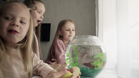 Close-up of three little girls sitting near the window and playing with aquarium fish, talking and laughing. Sisters spending time together at home. Family togetherness concept.