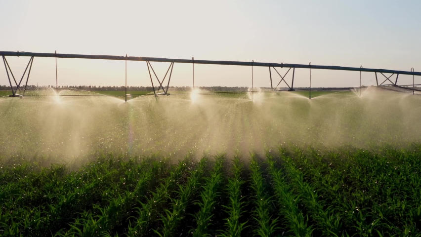 agriculture irrigation of farm field. automatic artificial irrigation of the field for good harvest. smart agriculture eco farming concept artificial intelligence. agricultural irrigation land farm
 Royalty-Free Stock Footage #1091721391