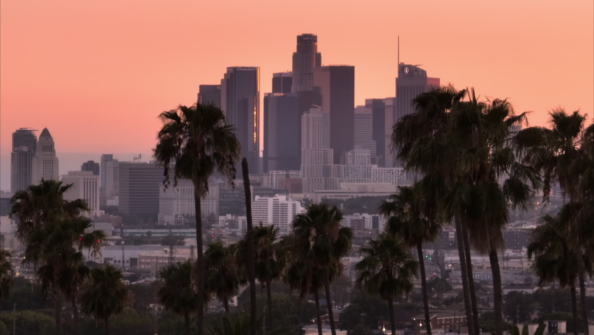 Epic Los Angeles downtown view on pink cinematic sunset, Drone flying between dark tall palm trees on evening. Aerial skyscraper buildings seen in distance with palms on foreground with pink sky USA Royalty-Free Stock Footage #1091723225