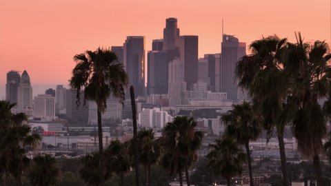 Epic Los Angeles downtown view on pink cinematic sunset, Drone flying between dark tall palm trees on evening. Aerial skyscraper buildings seen in distance with palms on foreground with pink sky USA – Stockvideo