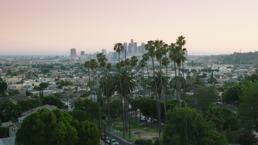 Drone flying between tall green palm trees towards epic Los Angeles downtown view on cinematic sunset. Aerial skyscraper buildings seen in distance with palms on foreground with pink sky USA Royalty-Free Stock Footage #1091723231