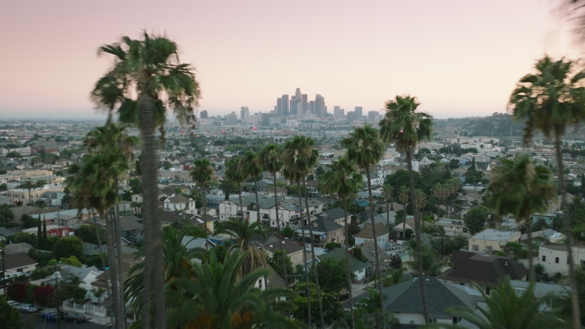 Drone flying between tall green palm trees towards epic Los Angeles downtown view on cinematic sunset. Aerial skyscraper buildings seen in distance with palms on foreground with pink sky USA | Shutterstock HD Video #1091723231