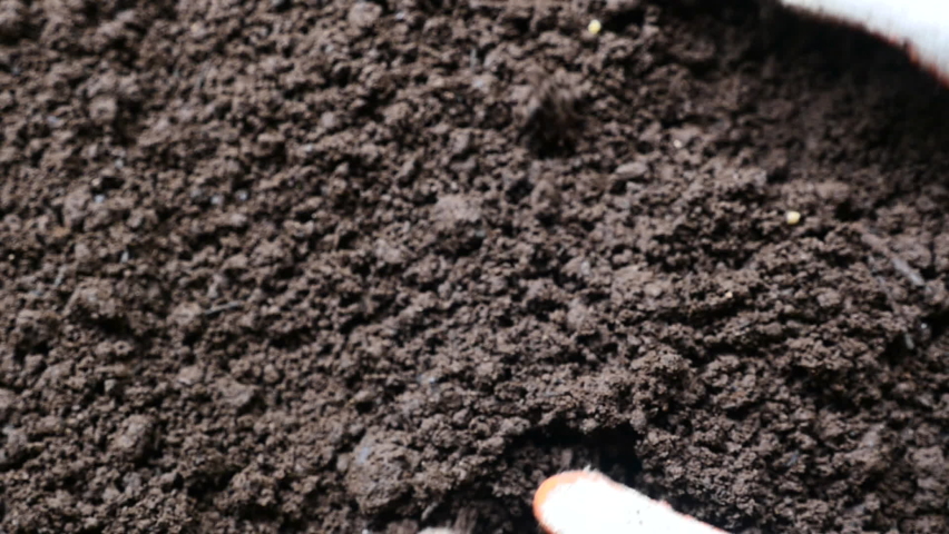 Farmer hand testing organic soil by pouring to below slow motion shot | Shutterstock HD Video #1091732683