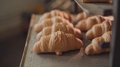 Freshly baked fragrant croissants with a ruddy appetizing golden crust. Croissants stand on metal shelves in the bakery. Slow movement of the camera to the side. Food Industry. Close up
