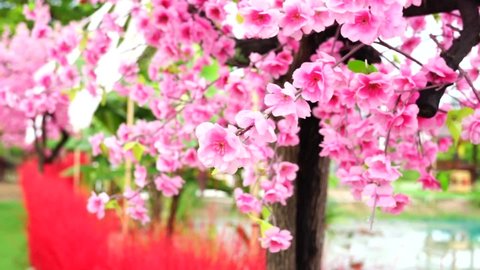 Artificial flowers of sakura on the tree in the morning at public park in Chonburi province.New Year and winter festivals of tourism in Thailand.