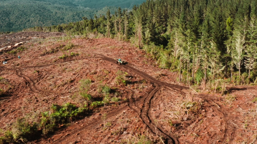 Skidder machine in open clearcutting forest plot driving on mud track, destruction of natural woodland | Shutterstock HD Video #1091750343