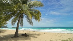 Landscape view beach with coconut tree Phuket Thailand tropical beach sea landscape beautiful in nature nature and travel concept.