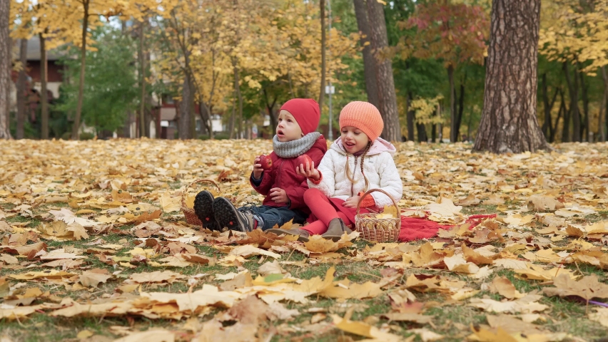 Little Preschool Kid Siblings Girl And Boy Smiling On Plaid Yellow Fallen Leaves In Basket Picnic Children Eating fruit Red Apple Look At Camera Weather In Fall Park. Family, Autumn harvest Concept | Shutterstock HD Video #1091753597