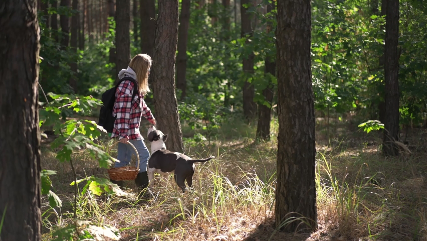 Side view young woman strolling with dog in forest searching mushrooms with trees passing at front. Wide shot of confident Caucasian owner and pet walking in sunny wood in slow motion | Shutterstock HD Video #1091769237