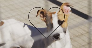 Animation of heart icon over dog. National dog day and digital interface concept digitally generated video.