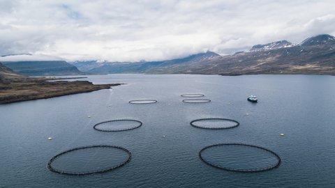 Aerial View Shot of fish farm, Iceland