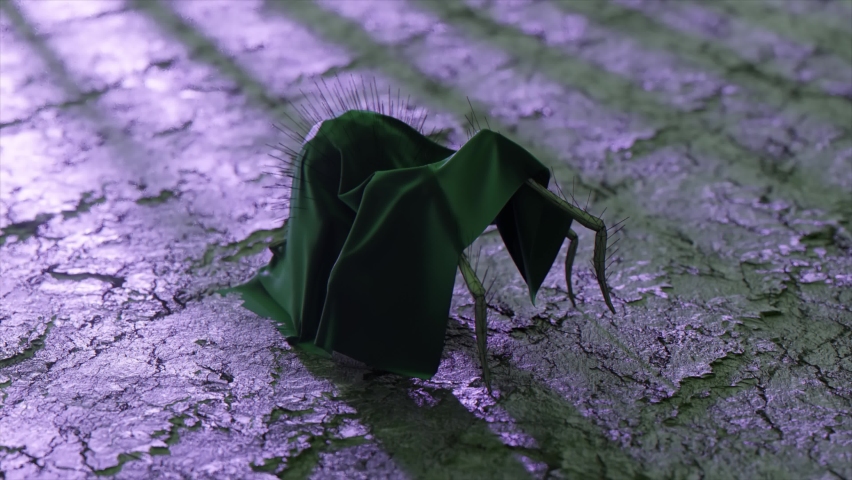 A black spider in clothes walks on dry ground. Black green mantle. Frightening. Insect. 3d animation of seamless loop | Shutterstock HD Video #1091835865