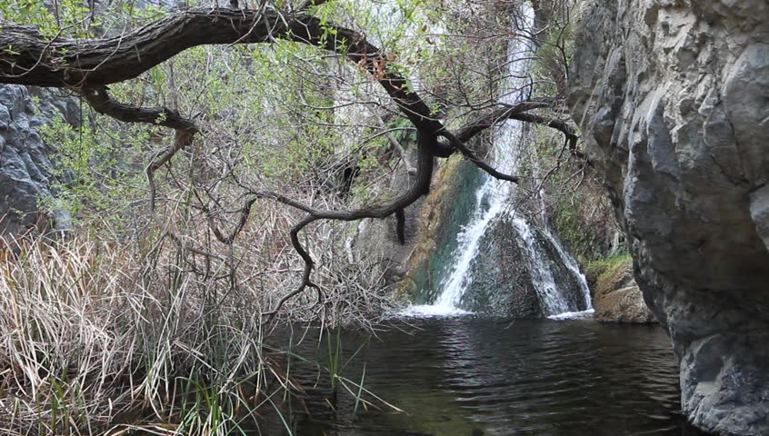 Darwin Falls, Death Valley National Park, California.