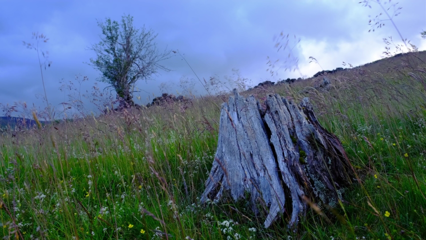 Moody Video Of A Barren Moorland Wilderness On A Windy Day | Shutterstock HD Video #1091850333