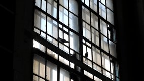 Pigeon birds sit on a large old stained glass window of an abandoned building. Silhouettes of birds in the backlight on the window with broken glass. Dramatic scene. - Powered by Shutterstock - Get 15% off with code: PIKWIZARD15