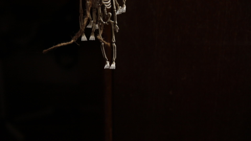 Trick or Treat concept. Preparation for Halloween party. Scary traditional decoration skeleton monster with scary face hanging swinging on dark black background. Autumn fall happy Halloween | Shutterstock HD Video #1091880715