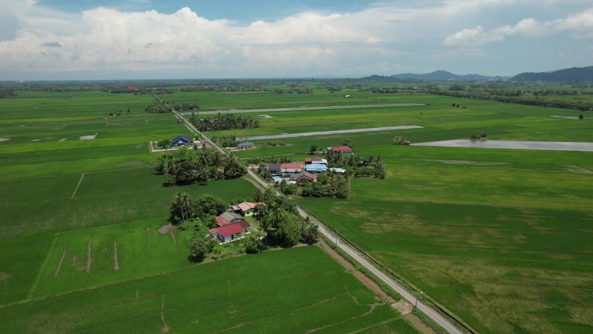 The Paddy Rice Fields of Kedah and Perlis, Malaysia | Shutterstock HD Video #1091885427