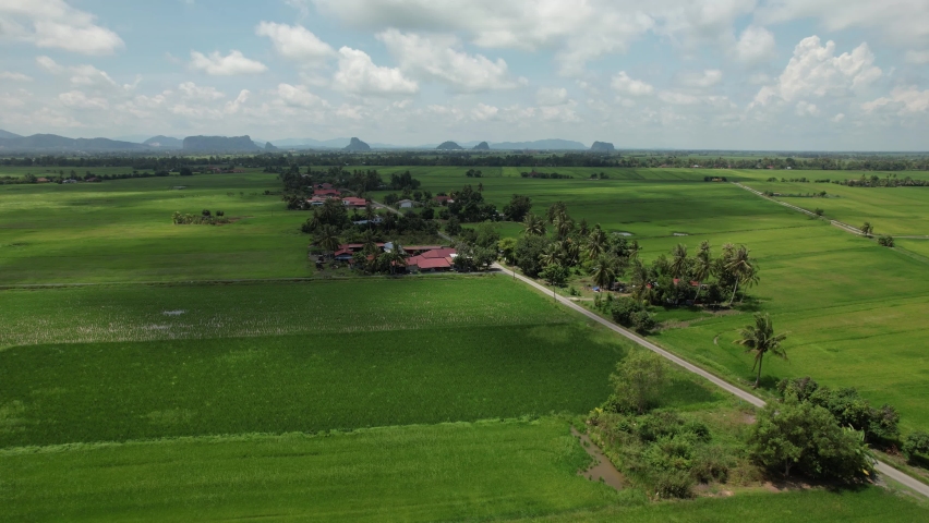 The Paddy Rice Fields of Kedah and Perlis, Malaysia | Shutterstock HD Video #1091885607