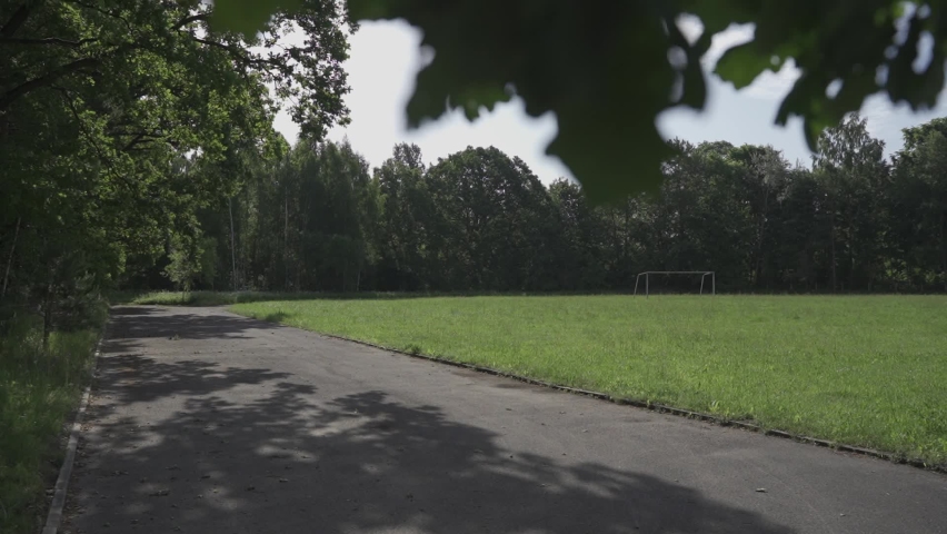 An aerial view of summer nature