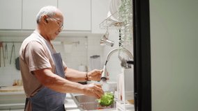 Asian senior man washing and cleaning vegetables in the kitchen sink - Powered by Shutterstock - Get 15% off with code: PIKWIZARD15