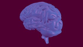 Animation of math text over digital brain on purple background. Global science and medicine concept digitally generated video.