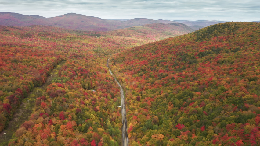 New England road trip fall aerial background. Drone flying above mountain road surrounded by beautiful vibrant colorful forest on cloudy day. Scenic yellow, red, orange autumn leaves on woodland hills Royalty-Free Stock Footage #1091922019