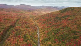 New England road trip fall aerial background. Drone flying above mountain road surrounded by beautiful vibrant colorful forest on cloudy day. Scenic yellow, red, orange autumn leaves on woodland hills