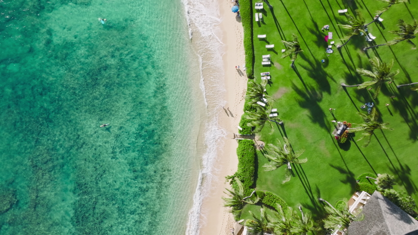 Luxury hotel resort landscape with cinematic green palm garden, sun chairs and surfers hanging in clear turquoise water. Idyllic summer vacation on Hawaii island 4K. Perfect sandy beach aerial view Royalty-Free Stock Footage #1091922033