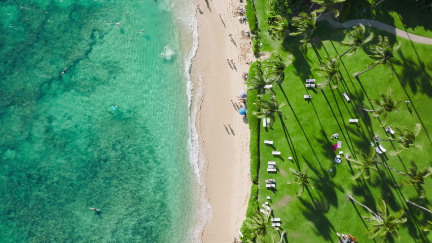 Luxury hotel resort landscape with cinematic green palm garden, sun chairs and surfers hanging in clear turquoise water. Idyllic summer vacation on Hawaii island 4K. Perfect sandy beach aerial view