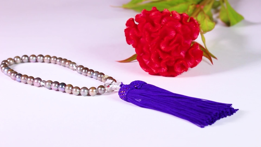 Red cockscomb flower and Japamala on white background