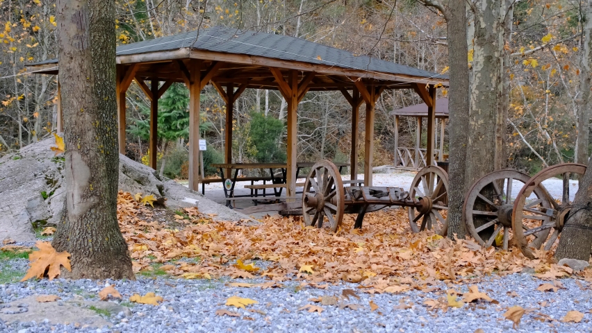 old rusty car in the park, Wooden ox carts and autumn fall colors, dried leaves on gravel ground.4k Video.