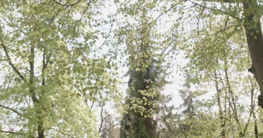 Close up of young graduate, bachelor, master holding mortarboard, diploma by hands, raising. Young woman standing in park, celebrating, glad, happy. Concept of graduating.