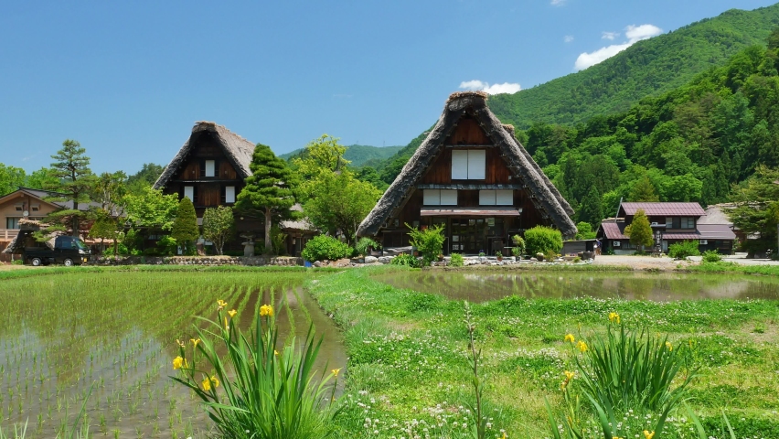 Gifu Prefecture, Japan:  The historical village of Shirakawa-go.　 Japanese old farm houses with very unique thatched roof. Royalty-Free Stock Footage #1091943277