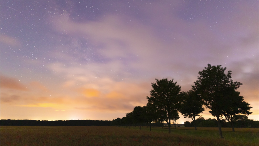 Time lapse of the Milky Way galaxy over a poppy field at night